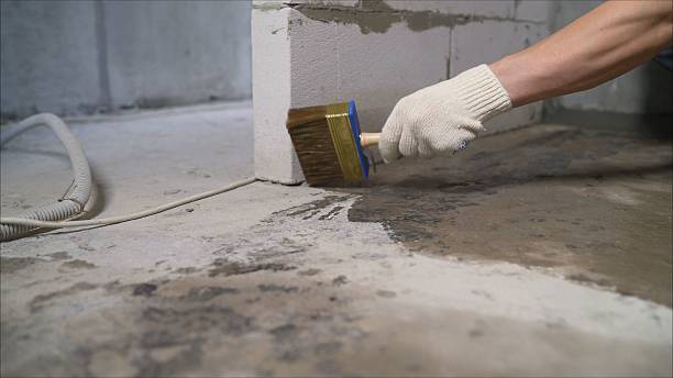 Top rated local Interior Drainage System specialists in Moreland, GA
